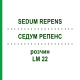 СЕДУМ РЕПЕНС (SEDUM REPENS) LM 22 раствор 10 мл - Гомеопатия ARCANA DR.SEWERIN