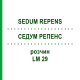 СЕДУМ РЕПЕНС (SEDUM REPENS) LM 29 раствор 10 мл - Гомеопатия ARCANA DR.SEWERIN