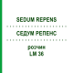 СЕДУМ РЕПЕНС (SEDUM REPENS) LM 36 раствор 10 мл - Гомеопатия ARCANA DR.SEWERIN