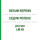 СЕДУМ РЕПЕНС (SEDUM REPENS) LM 45 раствор 10 мл - Гомеопатия ARCANA DR.SEWERIN