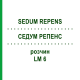 СЕДУМ РЕПЕНС (SEDUM REPENS) LM 6 раствор 10 мл - Гомеопатия ARCANA DR.SEWERIN