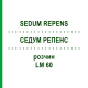 СЕДУМ РЕПЕНС (SEDUM REPENS) LM 60 раствор 10 мл - Гомеопатия ARCANA DR.SEWERIN