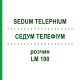 СЕДУМ ТЕЛЕФИУМ (SEDUM TELEPHIUM) LM 100 раствор 10 мл - Гомеопатия ARCANA DR.SEWERIN