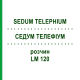 СЕДУМ ТЕЛЕФИУМ (SEDUM TELEPHIUM) LM 120 раствор 10 мл - Гомеопатия ARCANA DR.SEWERIN