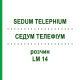 СЕДУМ ТЕЛЕФИУМ (SEDUM TELEPHIUM) LM 14 раствор 10 мл - Гомеопатия ARCANA DR.SEWERIN
