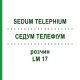СЕДУМ ТЕЛЕФИУМ (SEDUM TELEPHIUM) LM 17 раствор 10 мл - Гомеопатия ARCANA DR.SEWERIN