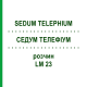 СЕДУМ ТЕЛЕФИУМ (SEDUM TELEPHIUM) LM 23 раствор 10 мл - Гомеопатия ARCANA DR.SEWERIN