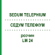 СЕДУМ ТЕЛЕФИУМ (SEDUM TELEPHIUM) LM 24 раствор 10 мл - Гомеопатия ARCANA DR.SEWERIN
