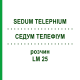 СЕДУМ ТЕЛЕФИУМ (SEDUM TELEPHIUM) LM 25 раствор 10 мл - Гомеопатия ARCANA DR.SEWERIN