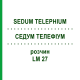 СЕДУМ ТЕЛЕФИУМ (SEDUM TELEPHIUM) LM 27 раствор 10 мл - Гомеопатия ARCANA DR.SEWERIN