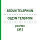 СЕДУМ ТЕЛЕФИУМ (SEDUM TELEPHIUM) LM 3 раствор 10 мл - Гомеопатия ARCANA DR.SEWERIN