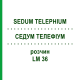 СЕДУМ ТЕЛЕФИУМ (SEDUM TELEPHIUM) LM 36 раствор 10 мл - Гомеопатия ARCANA DR.SEWERIN