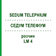СЕДУМ ТЕЛЕФИУМ (SEDUM TELEPHIUM) LM 4 раствор 10 мл - Гомеопатия ARCANA DR.SEWERIN