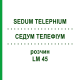 СЕДУМ ТЕЛЕФИУМ (SEDUM TELEPHIUM) LM 45 раствор 10 мл - Гомеопатия ARCANA DR.SEWERIN