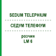 СЕДУМ ТЕЛЕФИУМ (SEDUM TELEPHIUM) LM 6 раствор 10 мл - Гомеопатия ARCANA DR.SEWERIN