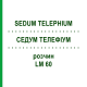 СЕДУМ ТЕЛЕФИУМ (SEDUM TELEPHIUM) LM 60 раствор 10 мл - Гомеопатия ARCANA DR.SEWERIN
