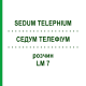 СЕДУМ ТЕЛЕФИУМ (SEDUM TELEPHIUM) LM 7 раствор 10 мл - Гомеопатия ARCANA DR.SEWERIN