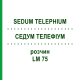 СЕДУМ ТЕЛЕФИУМ (SEDUM TELEPHIUM) LM 75 раствор 10 мл - Гомеопатия ARCANA DR.SEWERIN