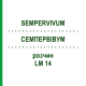 СЕМПЕРВИВУМ (SEMPERVIVUM) LM 14 раствор 10 мл - Гомеопатия ARCANA DR.SEWERIN
