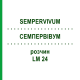 СЕМПЕРВИВУМ (SEMPERVIVUM) LM 24 раствор 10 мл - Гомеопатия ARCANA DR.SEWERIN