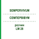 СЕМПЕРВИВУМ (SEMPERVIVUM) LM 28 раствор 10 мл - Гомеопатия ARCANA DR.SEWERIN
