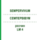 СЕМПЕРВИВУМ (SEMPERVIVUM) LM 4 раствор 10 мл - Гомеопатия ARCANA DR.SEWERIN