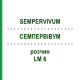 СЕМПЕРВИВУМ (SEMPERVIVUM) LM 6 раствор 10 мл - Гомеопатия ARCANA DR.SEWERIN
