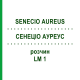 СЕНЕЦИО АУРЕУС (SENECIO AUREUS) LM 1 раствор 10 мл - Гомеопатия ARCANA DR.SEWERIN