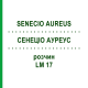 СЕНЕЦИО АУРЕУС (SENECIO AUREUS) LM 17 раствор 10 мл - Гомеопатия ARCANA DR.SEWERIN