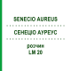 СЕНЕЦИО АУРЕУС (SENECIO AUREUS) LM 20 раствор 10 мл - Гомеопатия ARCANA DR.SEWERIN