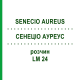СЕНЕЦИО АУРЕУС (SENECIO AUREUS) LM 24 раствор 10 мл - Гомеопатия ARCANA DR.SEWERIN