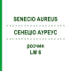 СЕНЕЦИО АУРЕУС (SENECIO AUREUS) LM 6 раствор 10 мл - Гомеопатия ARCANA DR.SEWERIN