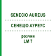 СЕНЕЦИО АУРЕУС (SENECIO AUREUS) LM 7 раствор 10 мл - Гомеопатия ARCANA DR.SEWERIN