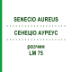 СЕНЕЦИО АУРЕУС (SENECIO AUREUS) LM 75 раствор 10 мл - Гомеопатия ARCANA DR.SEWERIN