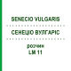 СЕНЕЦИО ВУЛГАРИС (SENECIO VULGARIS) LM 11 раствор 10 мл - Гомеопатия ARCANA DR.SEWERIN