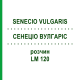 СЕНЕЦИО ВУЛГАРИС (SENECIO VULGARIS) LM 120 раствор 10 мл - Гомеопатия ARCANA DR.SEWERIN