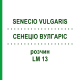СЕНЕЦИО ВУЛГАРИС (SENECIO VULGARIS) LM 13 раствор 10 мл - Гомеопатия ARCANA DR.SEWERIN