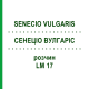 СЕНЕЦИО ВУЛГАРИС (SENECIO VULGARIS) LM 17 раствор 10 мл - Гомеопатия ARCANA DR.SEWERIN