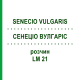 СЕНЕЦИО ВУЛГАРИС (SENECIO VULGARIS) LM 21 раствор 10 мл - Гомеопатия ARCANA DR.SEWERIN
