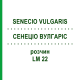 СЕНЕЦИО ВУЛГАРИС (SENECIO VULGARIS) LM 22 раствор 10 мл - Гомеопатия ARCANA DR.SEWERIN
