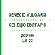 СЕНЕЦИО ВУЛГАРИС (SENECIO VULGARIS) LM 23 раствор 10 мл - Гомеопатия ARCANA DR.SEWERIN