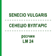 СЕНЕЦИО ВУЛГАРИС (SENECIO VULGARIS) LM 24 раствор 10 мл - Гомеопатия ARCANA DR.SEWERIN