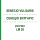 СЕНЕЦИО ВУЛГАРИС (SENECIO VULGARIS) LM 29 раствор 10 мл - Гомеопатия ARCANA DR.SEWERIN