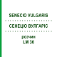СЕНЕЦИО ВУЛГАРИС (SENECIO VULGARIS) LM 36 раствор 10 мл - Гомеопатия ARCANA DR.SEWERIN