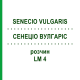 СЕНЕЦИО ВУЛГАРИС (SENECIO VULGARIS) LM 4 раствор 10 мл - Гомеопатия ARCANA DR.SEWERIN
