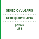 СЕНЕЦИО ВУЛГАРИС (SENECIO VULGARIS) LM 5 раствор 10 мл - Гомеопатия ARCANA DR.SEWERIN