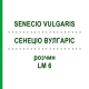 СЕНЕЦИО ВУЛГАРИС (SENECIO VULGARIS) LM 6 раствор 10 мл - Гомеопатия ARCANA DR.SEWERIN