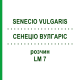 СЕНЕЦИО ВУЛГАРИС (SENECIO VULGARIS) LM 7 раствор 10 мл - Гомеопатия ARCANA DR.SEWERIN