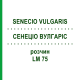 СЕНЕЦИО ВУЛГАРИС (SENECIO VULGARIS) LM 75 раствор 10 мл - Гомеопатия ARCANA DR.SEWERIN