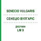 СЕНЕЦИО ВУЛГАРИС (SENECIO VULGARIS) LM 9 раствор 10 мл - Гомеопатия ARCANA DR.SEWERIN